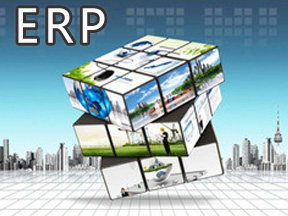 加貝集團(tuán)大型ERP